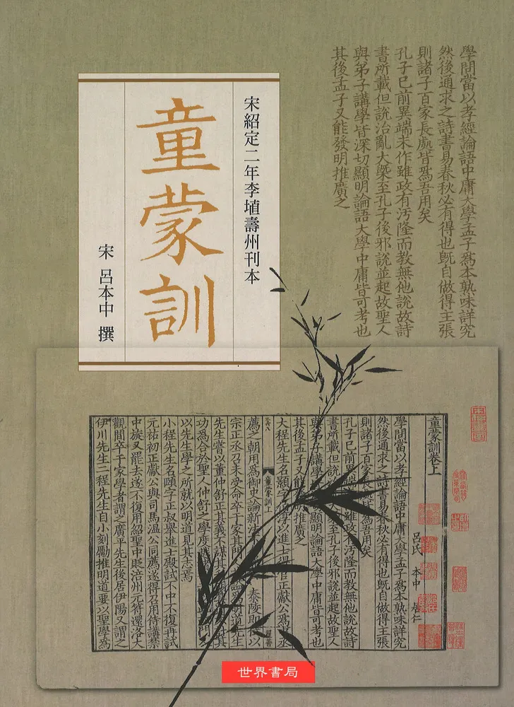 C19071.jpg?cb=1765192063