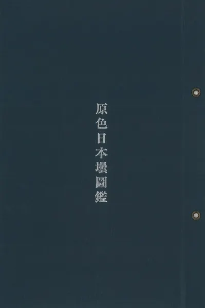 原色日本壜図鑑 / 庄司 太一 著 | 歴史・考古学専門書店 六一書房
