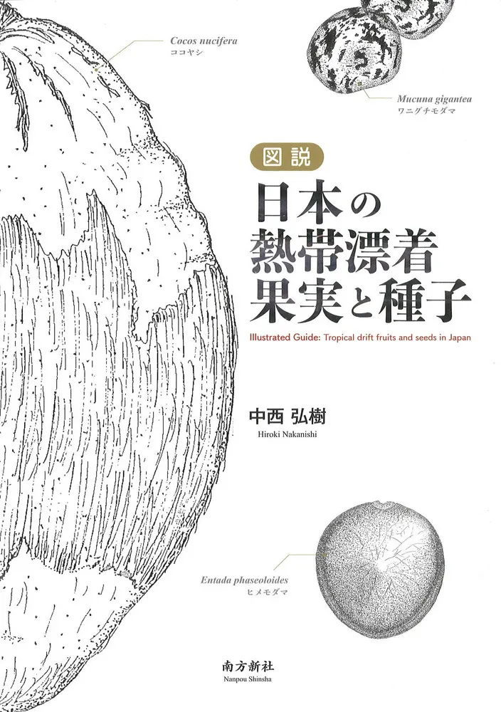図説 日本の熱帯漂着果実と種子 / 中西 弘樹 著 | 歴史・考古学専門