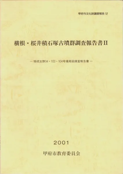 横根・桜井積石塚古墳群調査報告書2 / | 歴史・考古学専門書店 六一書房