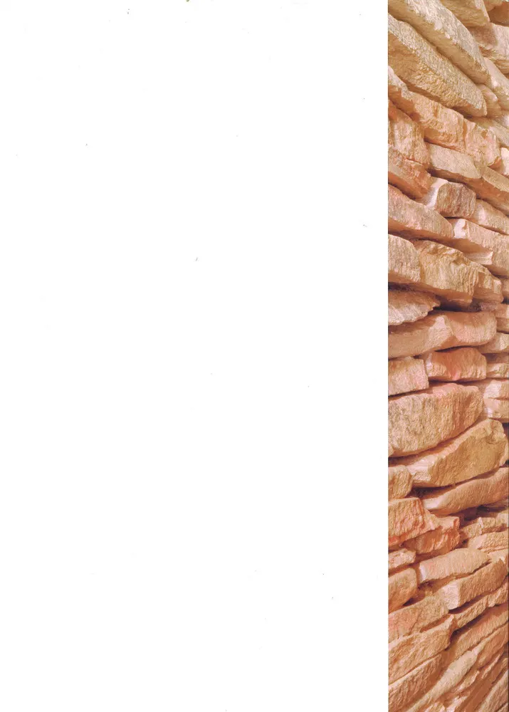 桜井茶臼山古墳の研究 再発掘調査と出土遺物再整理の報告書 桜井茶臼山古墳の研究−再発掘調査と出土遺物再整理再整理報告−」科研