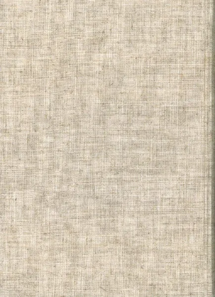 芙蓉峰の考古学2 池上悟先生古稀記念論文集 / 池上悟先生古稀記念会 編