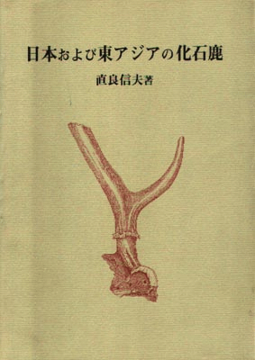 ܤ쥢βм