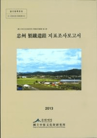 齣 İ 지표조사보고서 (齣ŴɽĴ)