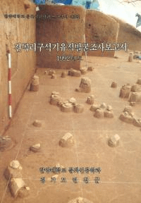 전곡리구석기 유적발굴조사보고서(ëΤдȯĴ1992ǯ)