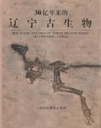 30ǯŪǫʪ
