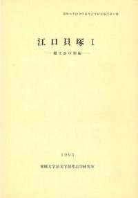 1ʸ