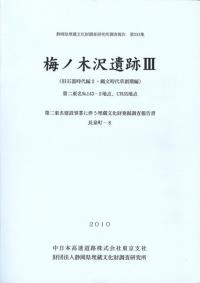 梅ノ木沢遺跡3 (旧石器時代編2・縄文時代草創期編)