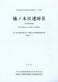梅ノ木沢遺跡2 (旧石器時代編)