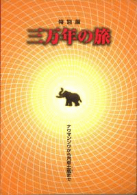 ǯιʥޥ󥾥鵥Ӥޤ