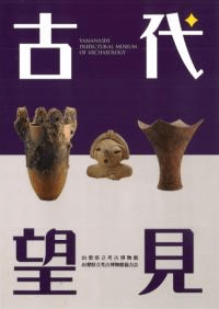 ˾