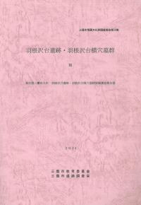 ס沣跲3