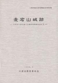 滳