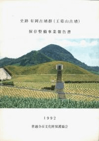 ͭʯ(軳ʯ)¸