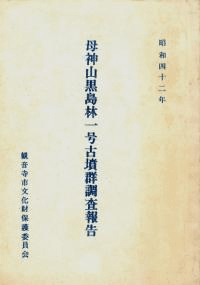 1ʯĴ