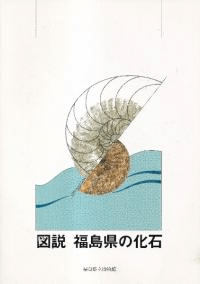 ⡡ʡ縩β  