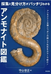νȸʬХå狼륢ʥȿ޴