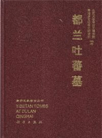 都蘭吐蕃墓