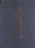 ۴踦ʸ
