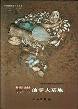 滕州前掌大墓地 上下 全2冊