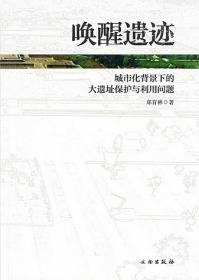 唤醒遺跡 城市化背景下的大遺址保護与利用問題
