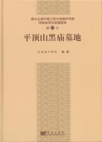 平頂山黒廟墓地