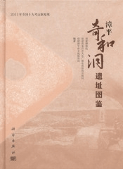 漳平奇和洞遺址図鑑