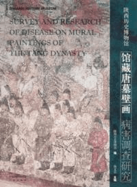 陝西歴史博物館蔵唐墓壁画病害調査研究