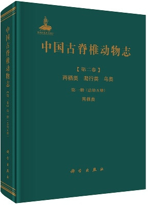 ưʪ 2ξࡡਹࡡĻࡡ7(11)ζ
