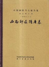 西安郊区隋唐墓 精装版