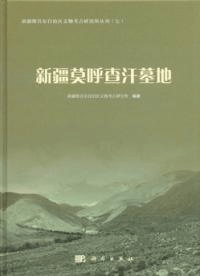 新疆莫呼査汗墓地