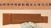旅順博物館蔵新疆出土漢文文献(総目索引3冊、図版32冊)
