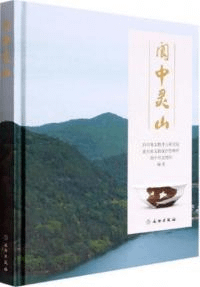 阆