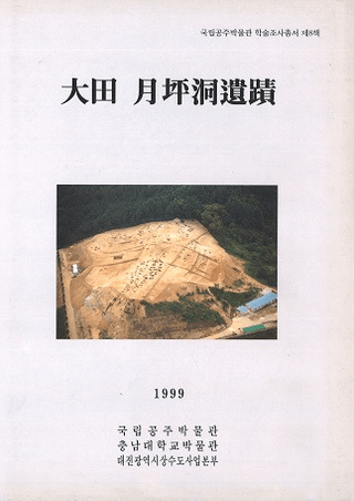 大田月坪洞遺蹟