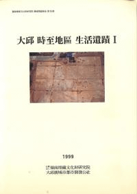 大邱時至地區生活遺蹟1 本文、写真 全2冊