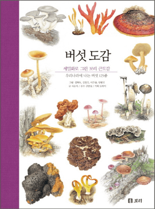 버섯 도감(Το޴)세밀화로 그린 보리 큰도감우리나라에 나는 버섯 125종(̩ܥ޴ ڹΥ125)
