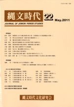 ʸ塡22