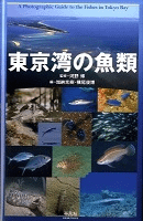 Ѥε
