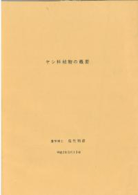 ヤシ科植物の概要