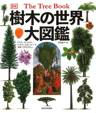 ڤ޴
