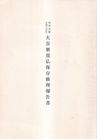 特別史蹟重要文化財大谷磨崖仏保存修理報告書
