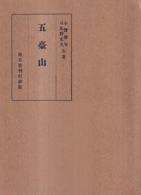 滳