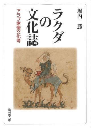 饯ʸ : ֲʸ
