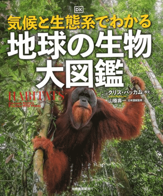 ַϤǤ狼롡ϵʪ޴