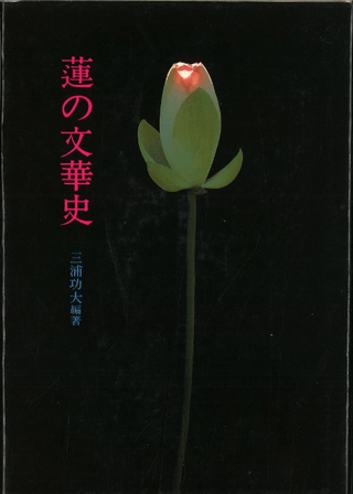 ϡʸڻ