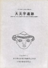 ʸ
