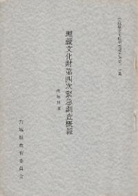 南境貝塚 埋蔵文化財第4次緊急発掘調査概報
