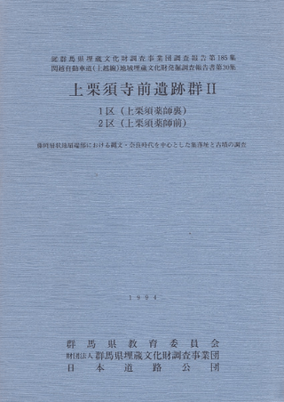 巪ܻ׷2