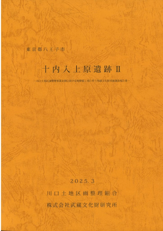 十内入上原遺跡2