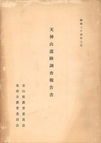 天神山遺跡調査報告書